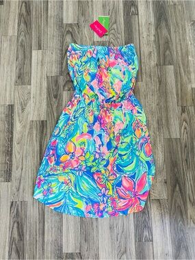 Lilly Pulitzer Windsor dress XXS surf gypsea swim
